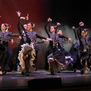 Fotografía de Talleres Danza Española (galería 2) - Conservatorio de Danza